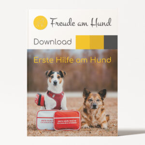 Erste Hilfe am Hund Seminar (Download)