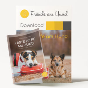 DUO: Erste Hilfe Taschenbuch und Seminar (Download)