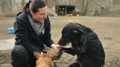 Hundetrainerin Anja Portraet - Freude am Hund Academy