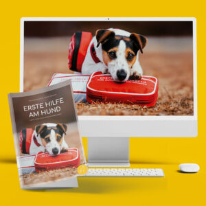 DUO: Erste Hilfe Taschenbuch und Online-Seminar mit Fr. Dr. Carmen Klein